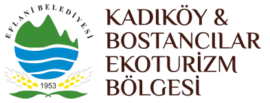 eflani_logo